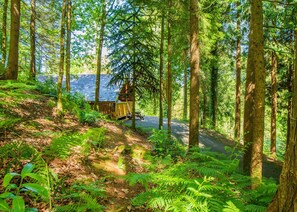 Overnatningsstedets område