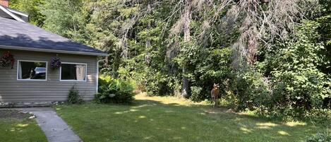 Una casa con jardín delantero, entrada para coches y un bosque denso al fondo.