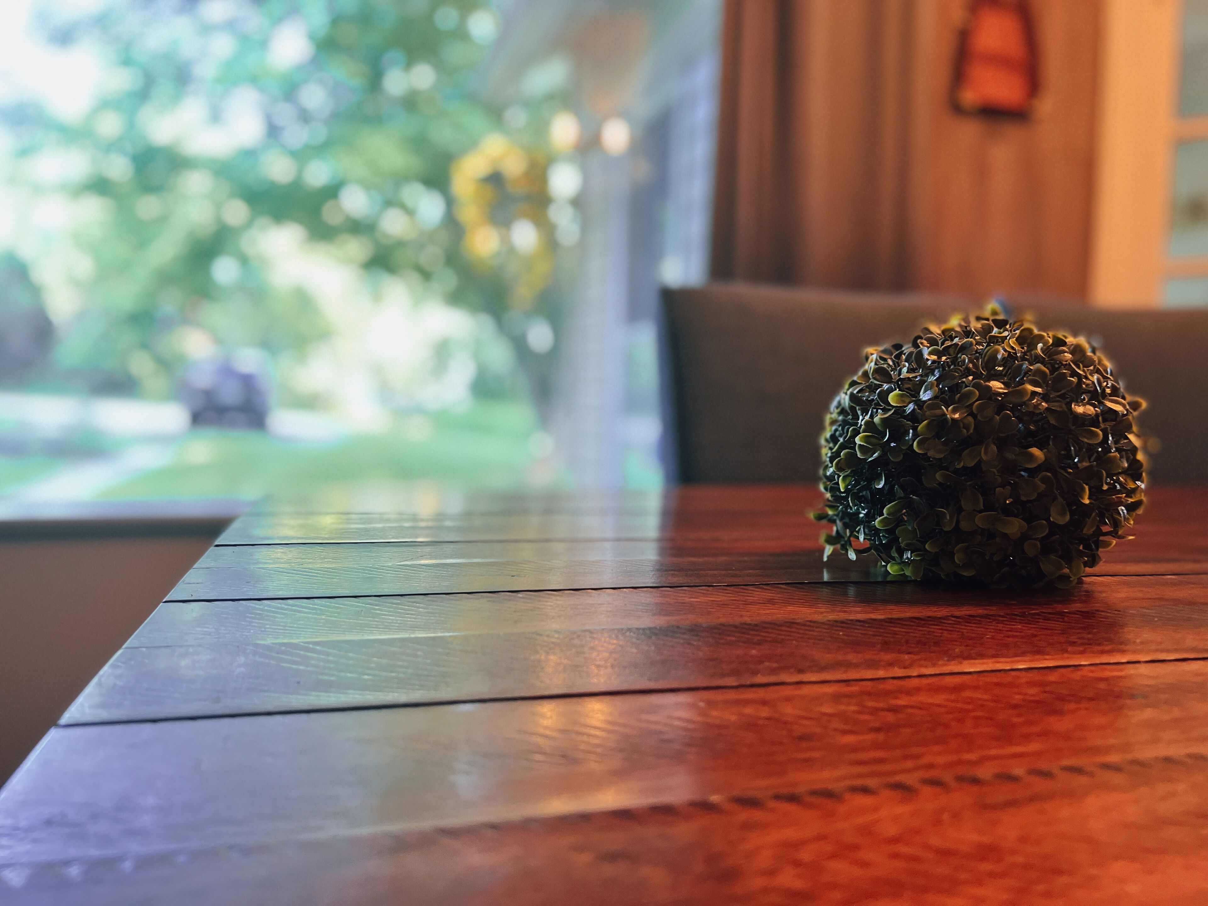 A wooden table with a decorative plant.