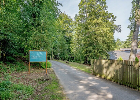 Imagen sin descripción, 1 de 17, botón