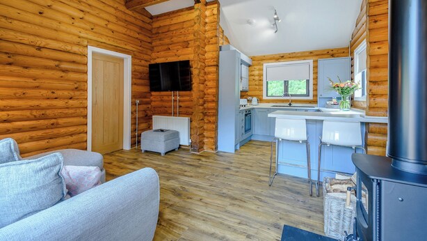 A log cabin interior with a living room, kitchen, and a fireplace. - 1 bedroom accommodation in Annbank, Ayr (Annbank, Ayr)