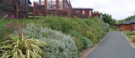 Overnatningsstedets område