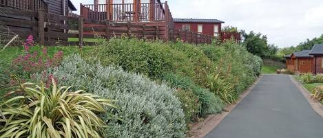 Jardines del alojamiento