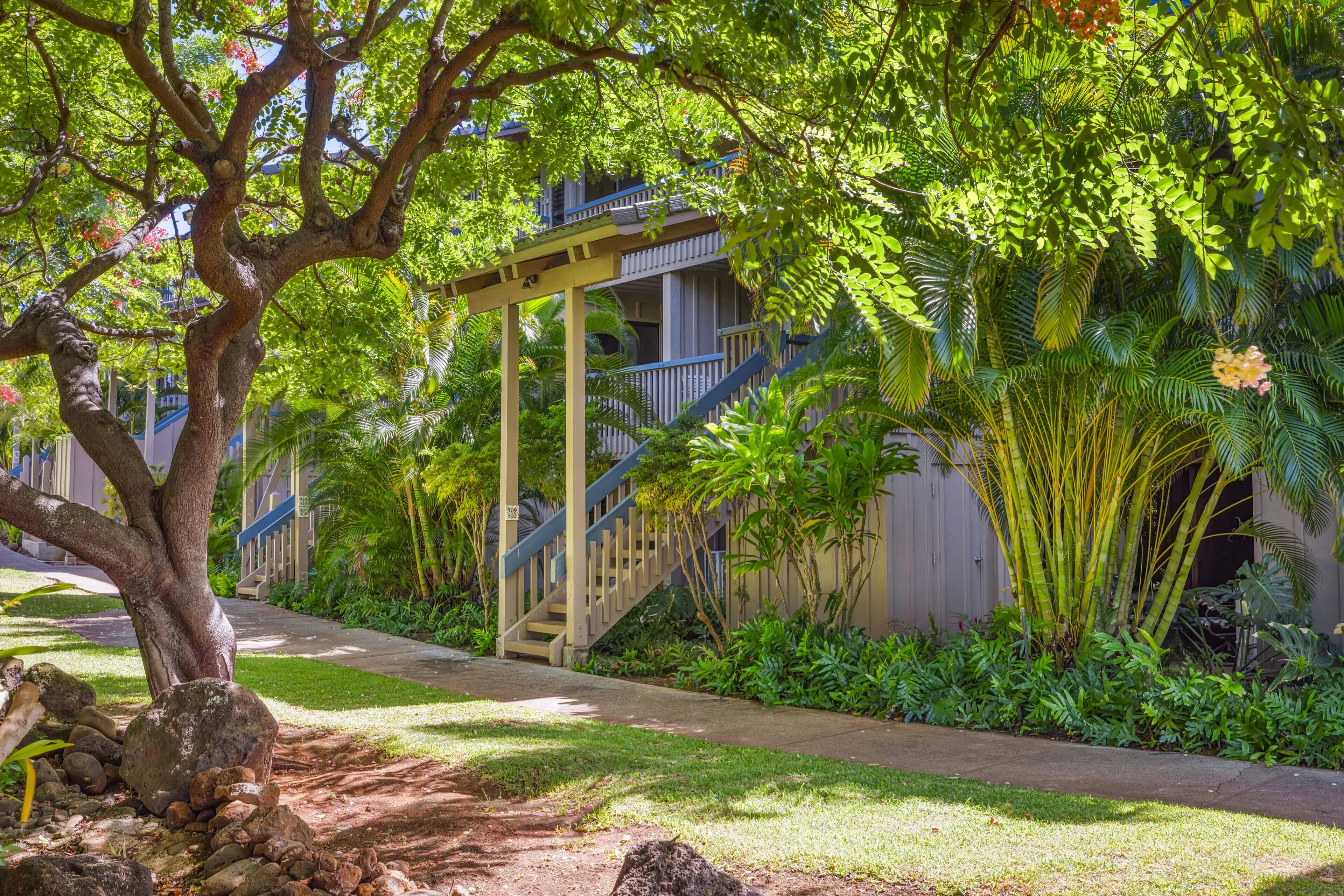 Terrein van de accommodatie