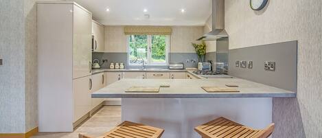 Fridge, oven, stovetop, dishwasher