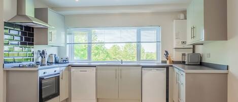 Fridge, oven, stovetop, dishwasher