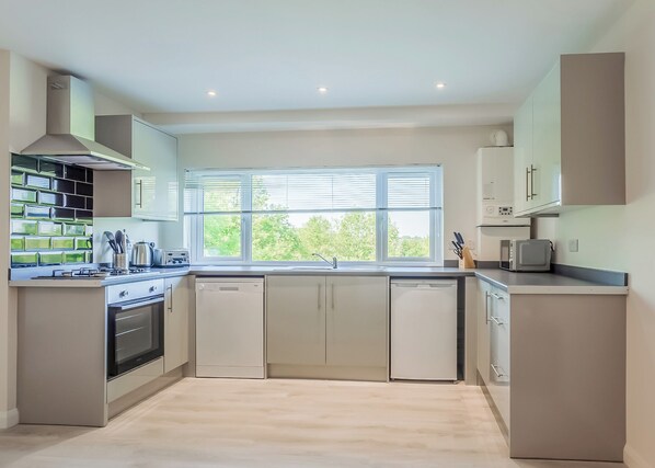 Fridge, oven, stovetop, dishwasher