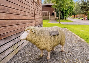 Overnattingsstedets uteområder