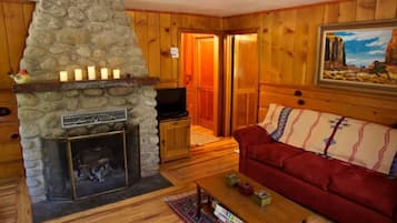 Smart TV, fireplace, video games, DVD player