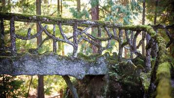 Un puente de madera cubierto de musgo en un bosque.