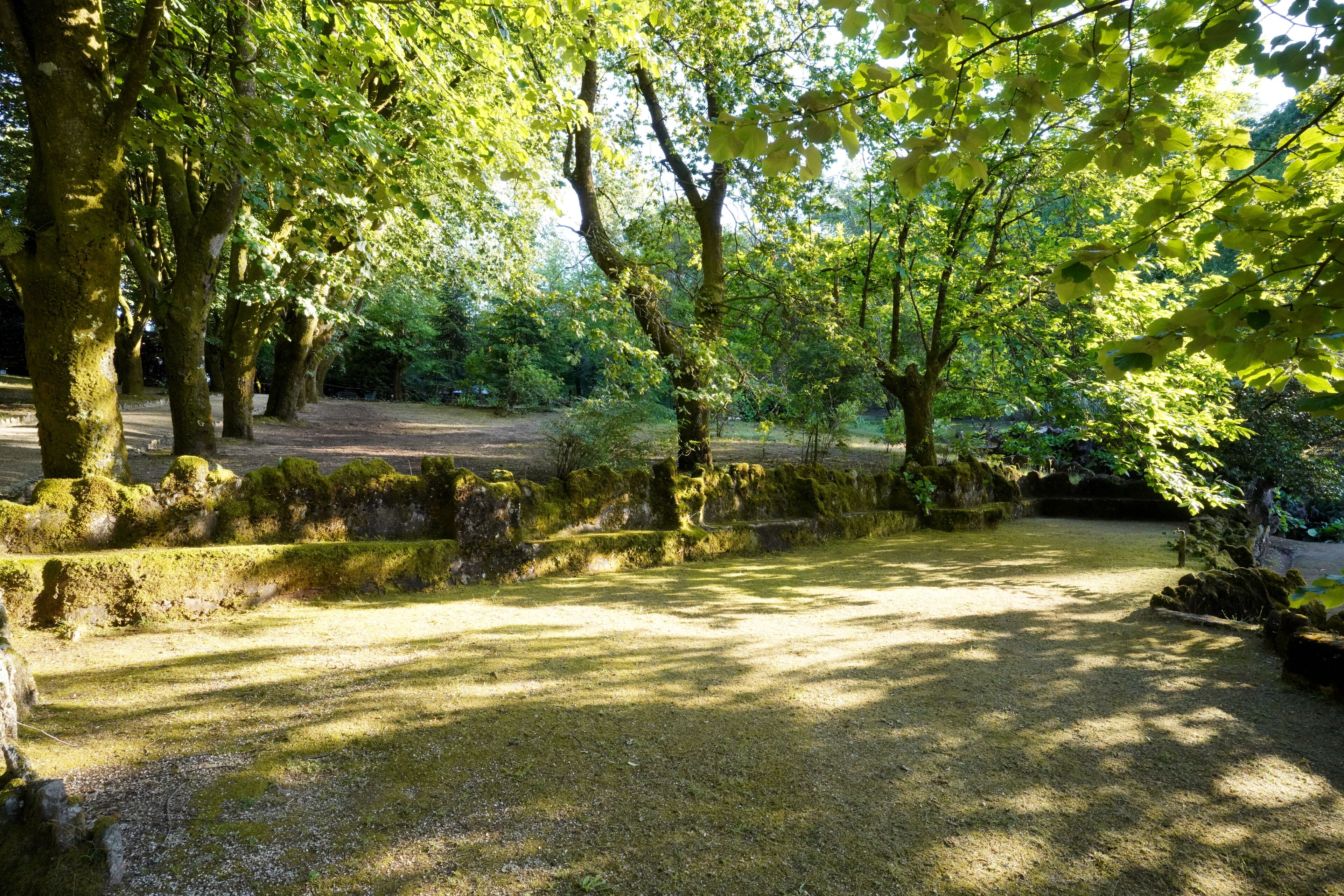 A park with trees, a gravel path, and a stone wall.