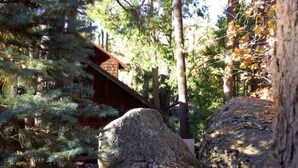 A cabin surrounded by dense forest and large rocks. - Twin Rock Tree House - Vintage Cabin (Idyllwild-Pine Cove)