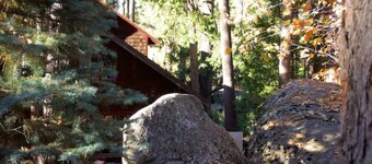 Twin Rock Tree House - Vintage Cabin