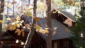 A rustic cabin with a sloped roof, surrounded by trees with autumn leaves. - Twin Rock Tree House - Vintage Cabin (Idyllwild-Pine Cove)