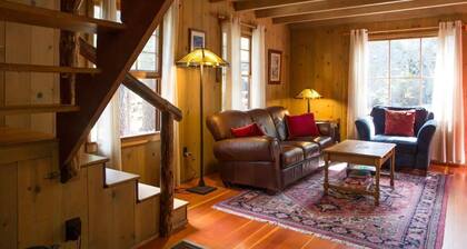 Twin Rock Tree House - Vintage Cabin