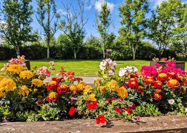 المنطقة المحيطة بالمنشأة