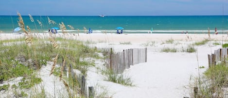 Tæt på stranden