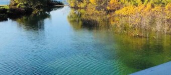 Walk to Elk Rapids.Close to Traverse & Charlevoix