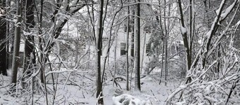 Walk to Elk Rapids.Close to Traverse & Charlevoix