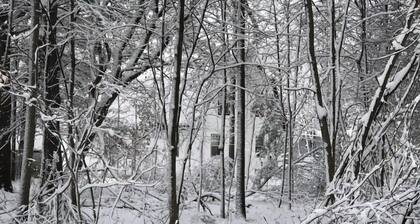 Walk to Elk Rapids.Close to Traverse & Charlevoix