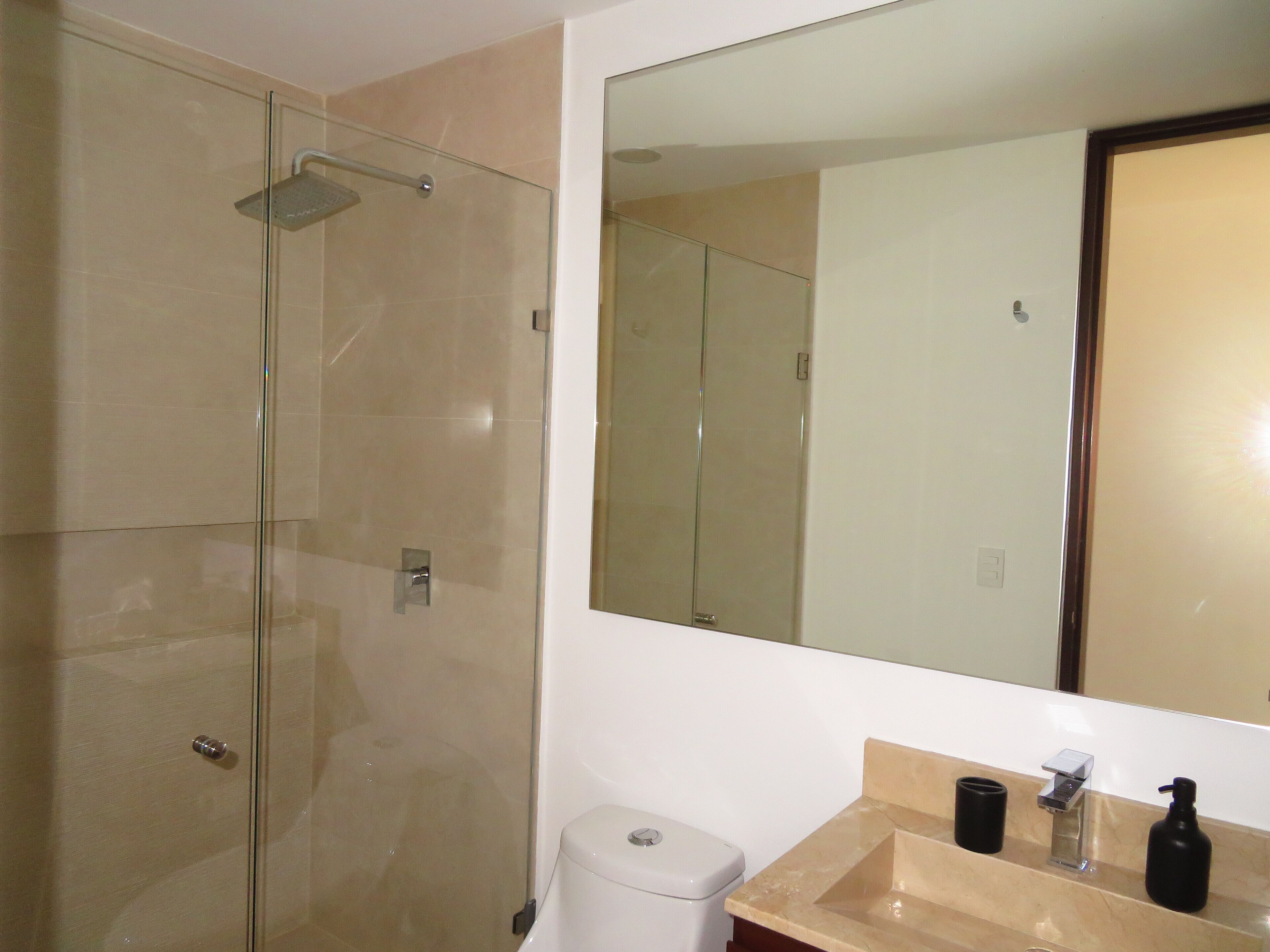 A bathroom with a glass-enclosed shower, a white toilet, and a vanity with a mirror.