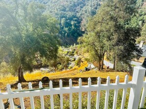 Property grounds - Happy Hedgehog - River Views - Hot Tub - Private (Ahwahnee)