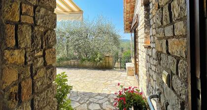 Provençal farmhouse 6 guests Peymeinade near Cannes