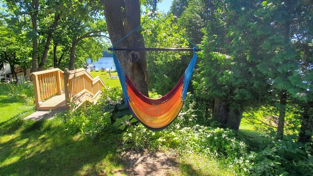 En hängmatta som hänger från ett träd i en park, med en träveranda och utsikt över en sjö.