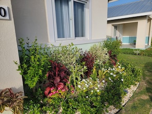 Detalle exterior