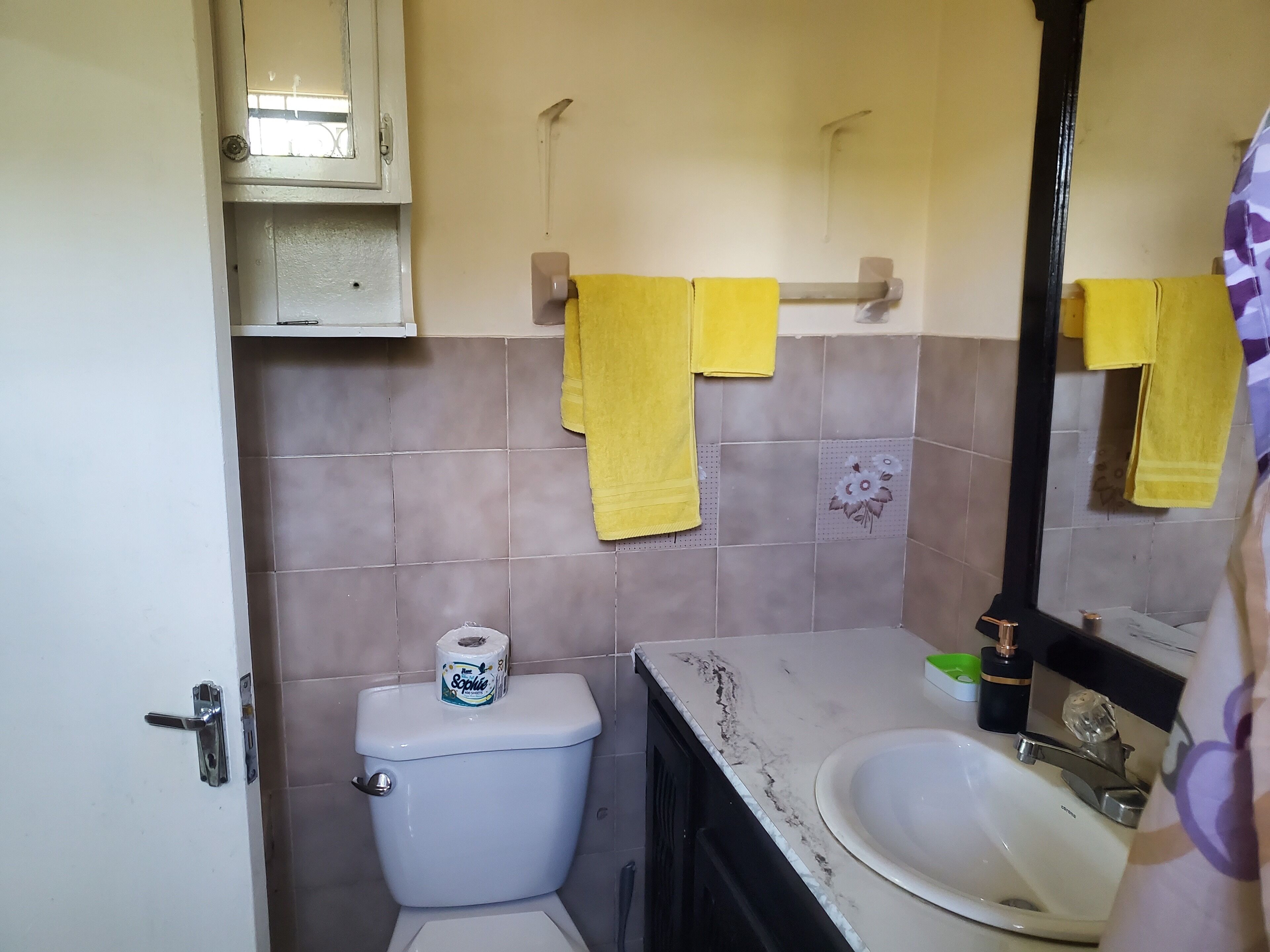 Regadera, secadora de cabello, toallas, papel de baño 