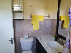Een douche, een haardroger, handdoeken, toiletpapier