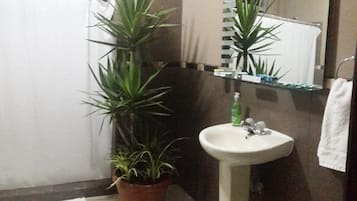 Hair dryer, towels, soap, shampoo