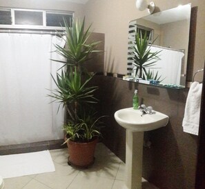 Secador de pelo, toallas, jabón, shampoo