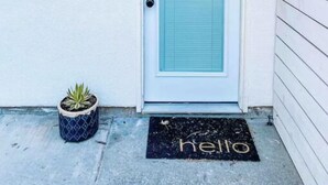 A white door with a frosted glass panel, a small potted plant, and a 'hello' mat on the ground.