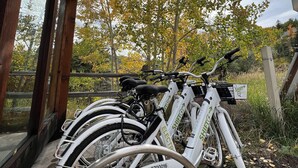 Een rij witte fietsen geparkeerd voor een gebouw met uitzicht op herfstbomen.