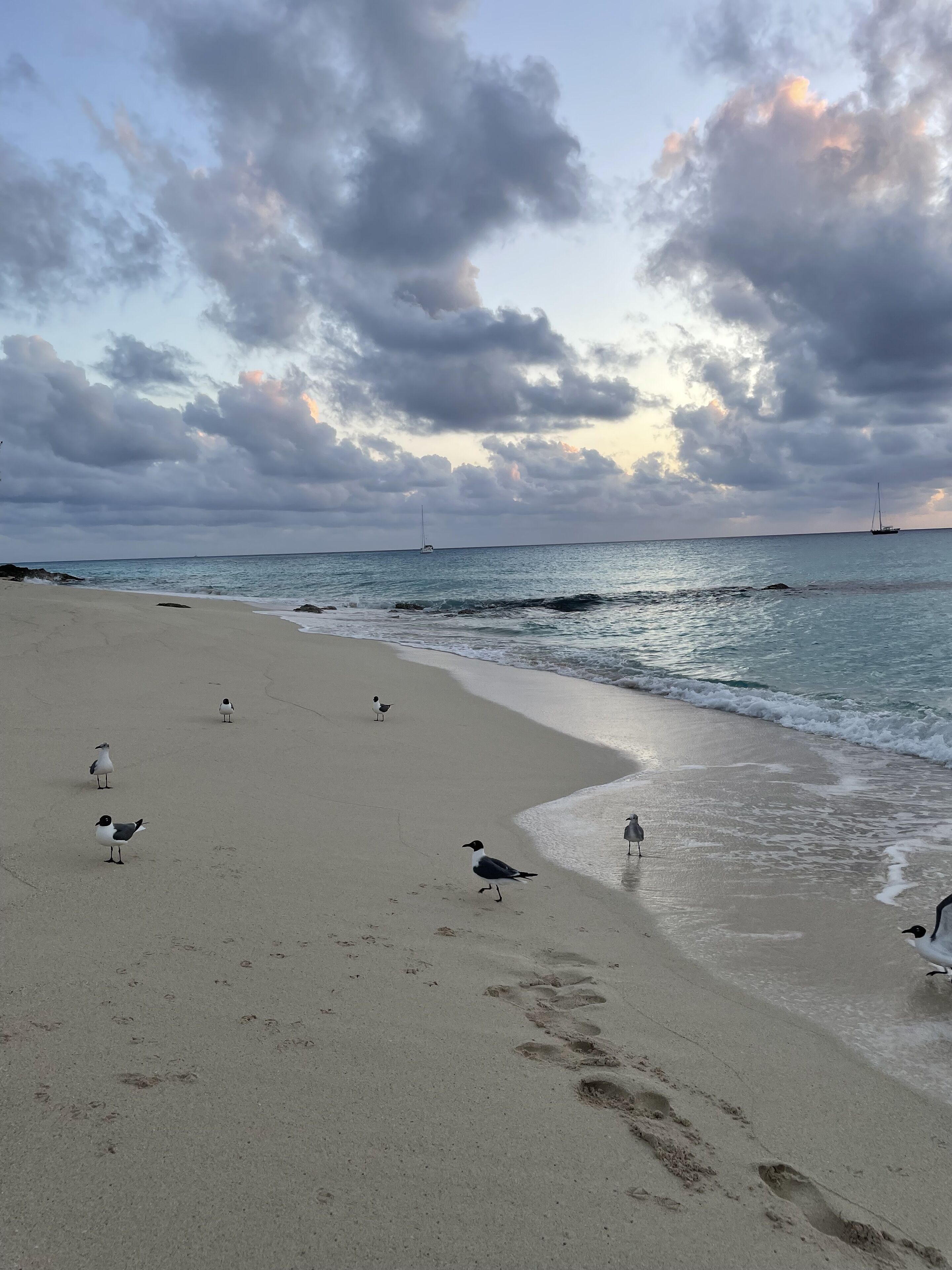 Ein Strand mit Möwen, ein Segelboot in der Ferne und ein bewölkter Himmel.