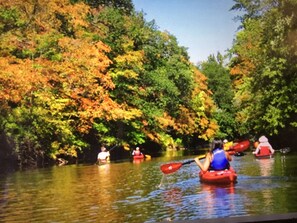 Escena de un río con kayaks y gente remando.