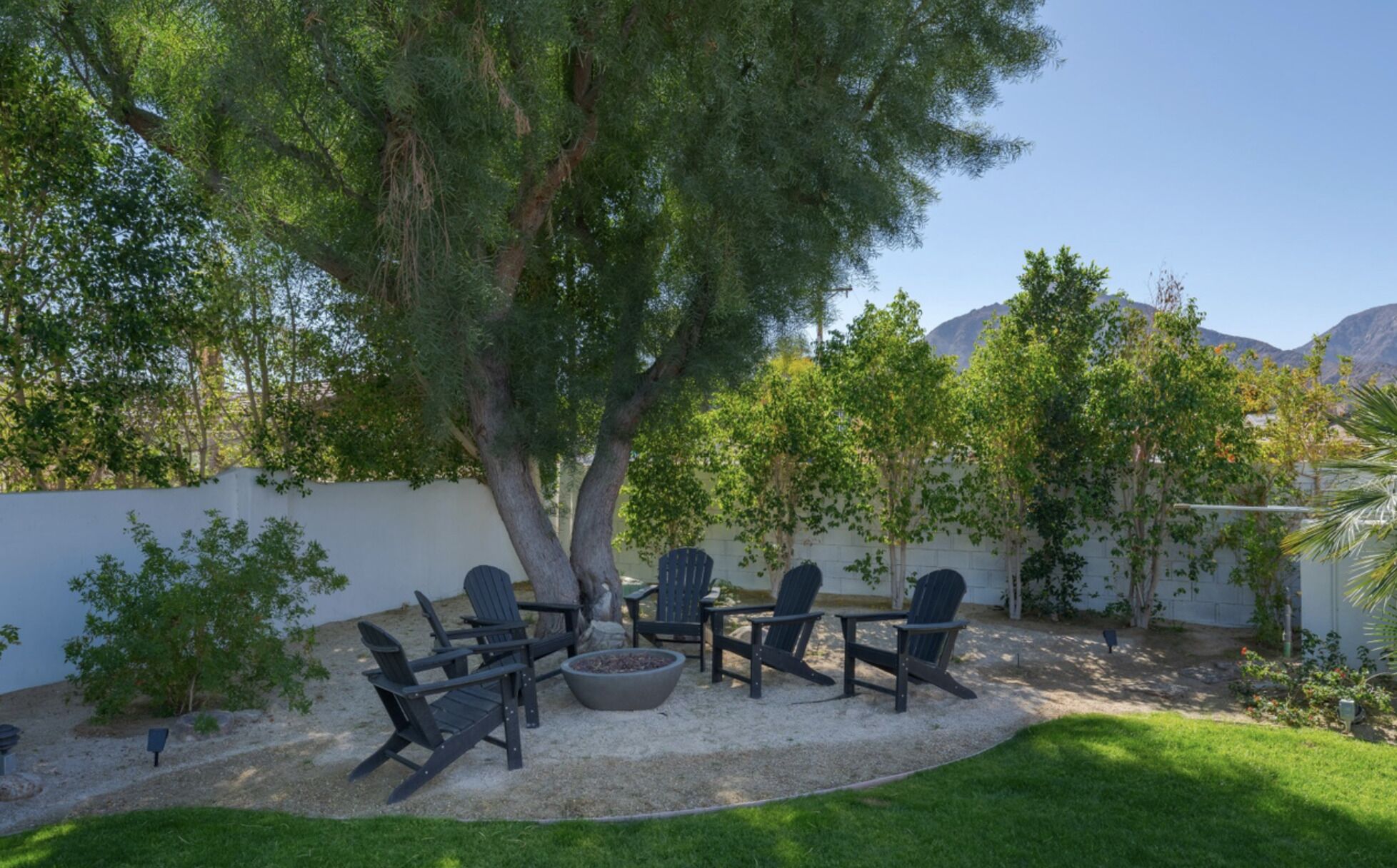 Un patio con mobiliario exterior y un árbol grande.
