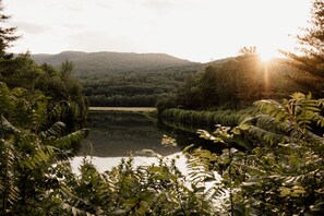 Property grounds - Lumen Nature Retreat | Cabin LYKKE-BJORN (Woodstock)