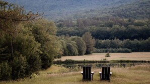 Kaksi Adirondack-tyylistä puutarhatuolia, jotka on sijoitettu vastakkain ja niiden edessä on metsäinen rinne.