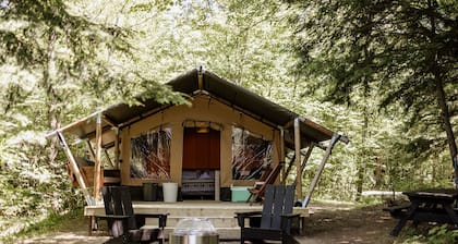 Safari Tent Site 4 | 1 King Bed | Pond View