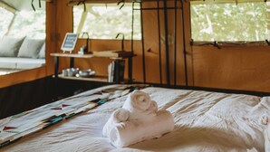 A bed with a rolled towel, a wooden headboard, a window with a view of trees, and a small shelf with items.