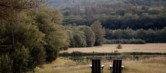 Safari Tent Site 8 | 1 Queen Bed & 2 Bunk Beds | Pond View