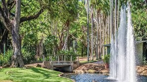 A tranquil garden with a pond, a bridge, and a waterfall. - ZEN88 Esp (408): Coastal Elegance ~ Sunset ~ Pool (Darwin City)