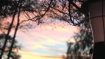 DĂ©tail de lâintĂ©rieur