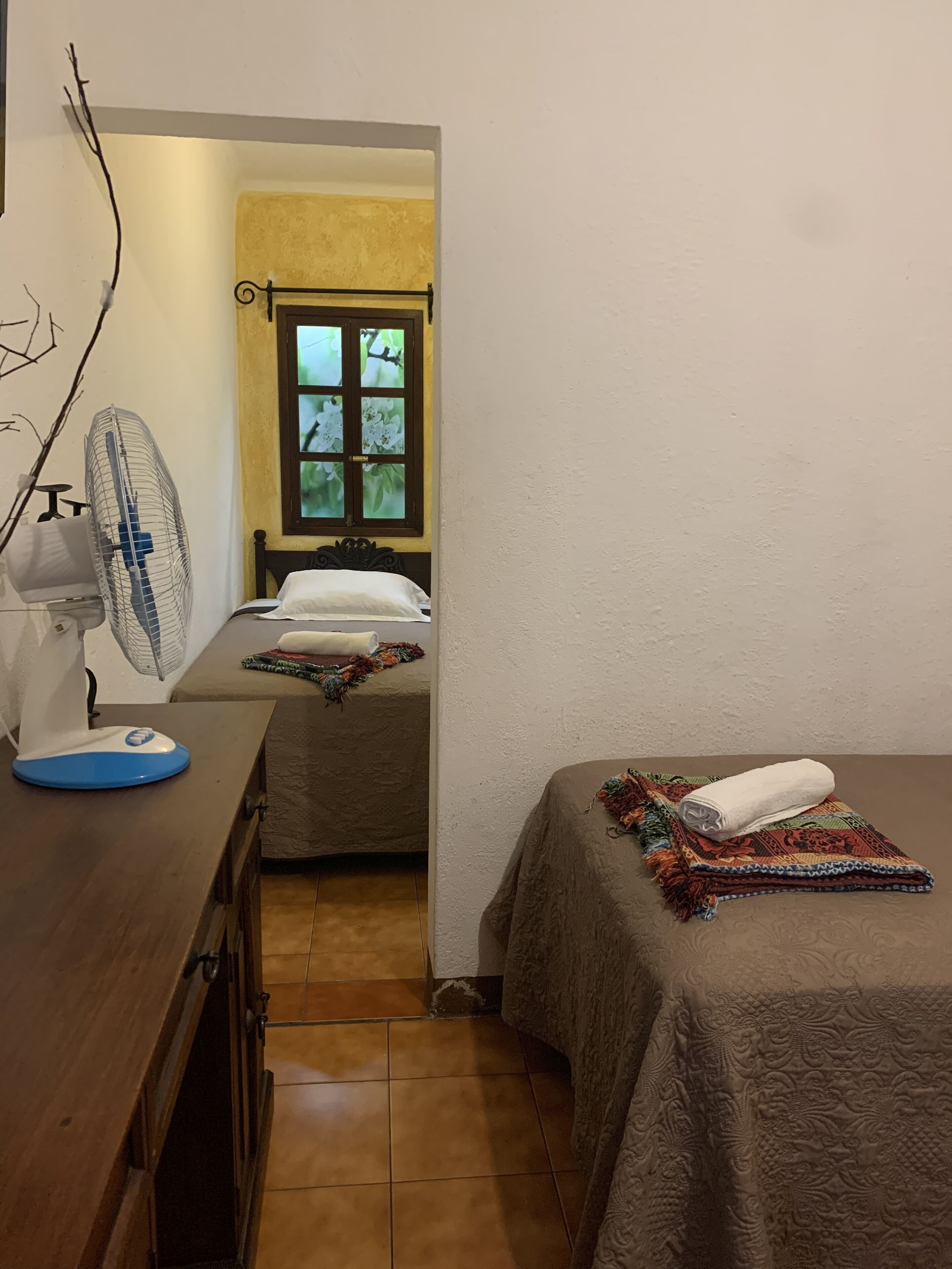 Photo - Hotel Casa Anturio