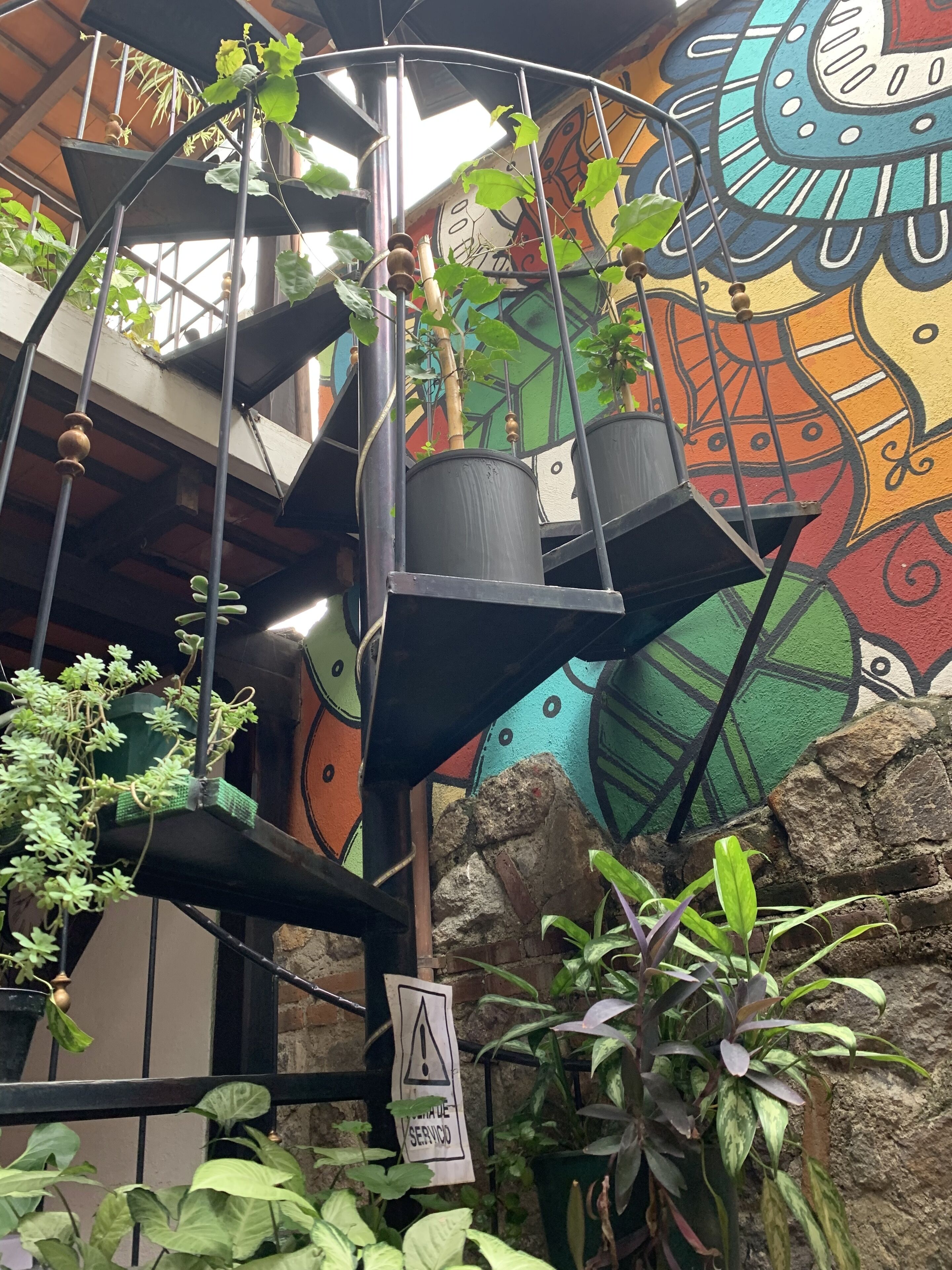 Photo - Hotel Casa Anturio