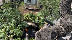 A silver RV parked in a lush garden with a koi pond and a large tree in the foreground. - Airstream Escape + Pool + Fenced Yard (Austin)
