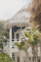 A white building with a thatched roof, surrounded by palm trees.