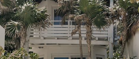 A beachfront building with a thatched roof, surrounded by palm trees and a sandy area.